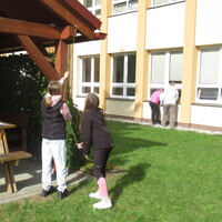 IMG_9307.JPG