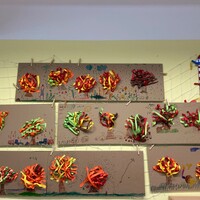 IMG_6579.JPEG