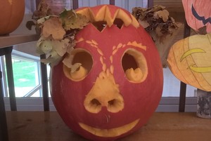 WP_20171009_14_13_24_Pro.jpg