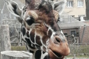 IMG_20220422_120632.jpg