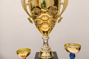 Poděkování za reprezentaci školy IMG_20260203_114226.jpg