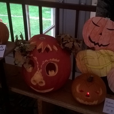 WP_20171010_08_00_31_Pro.jpg