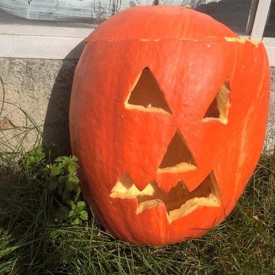 WP_20171012_12_38_27_Pro.jpg