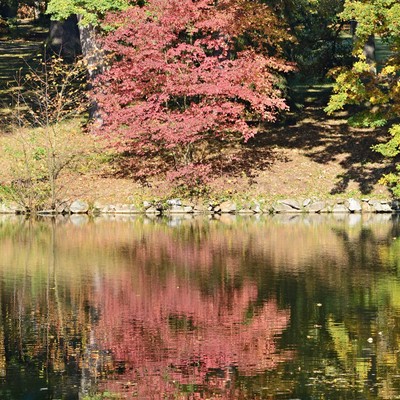 DSC_5989-1.jpg