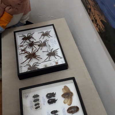 20191118_122655.jpg