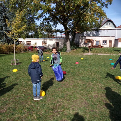 IMG_20241018_133746.jpg