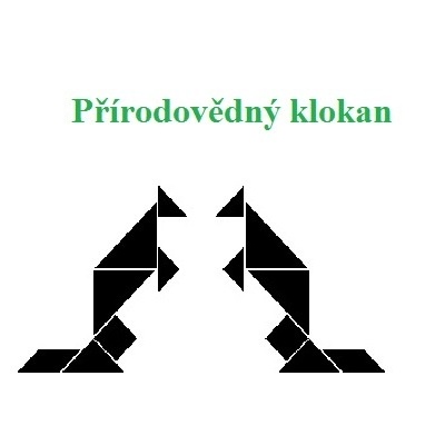 klokanicd064cb478a839b13ec5c24e28f304be.jpg_800x800.jpg