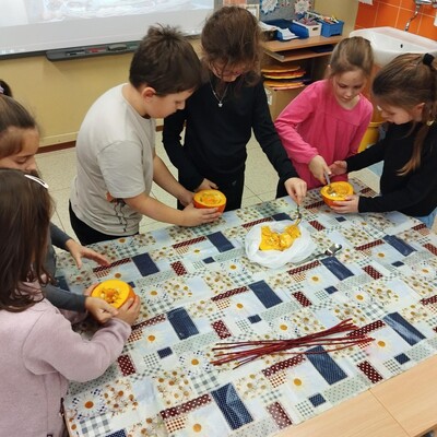 Obrázek - 1764612798005