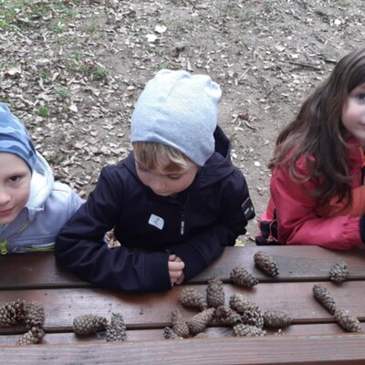 f9872358-b499-41e0-b75b-50811d73efa3 f9872358-b499-41e0-b75b-50811d73efa3.jpeg