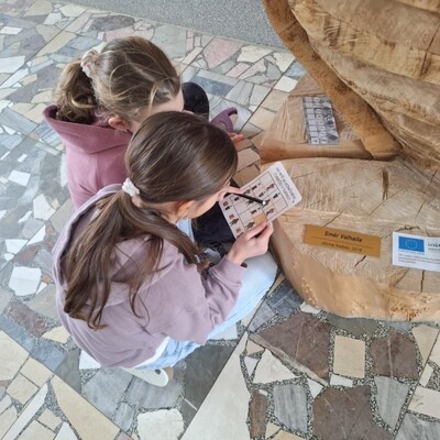 c36b467e-d98c-4786-a5ba-082a79349081 Obrázek - c36b467e-d98c-4786-a5ba-082a79349081