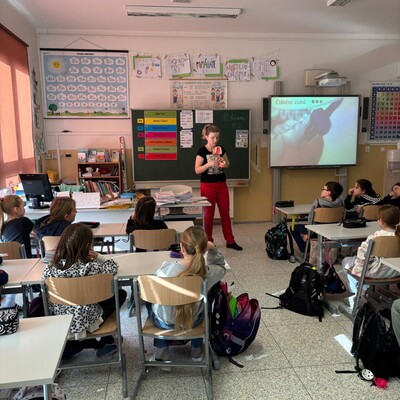 img-20260310-wa0004 Obrázek - img-20260310-wa0004