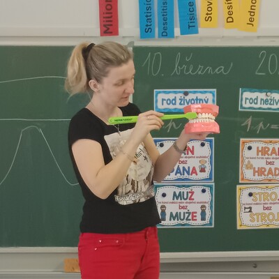 Obrázek - img 20260310 102511