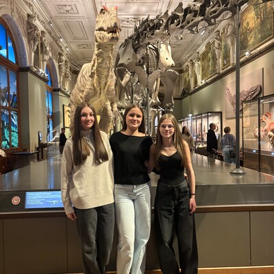 image 21 Obrázek - image 21