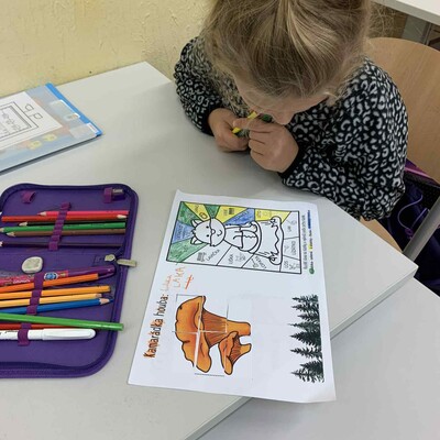 a7773a44-dfe2-49ef-929e-95cf8415a259 Obrázek - a7773a44-dfe2-49ef-929e-95cf8415a259