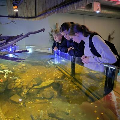 Obrázek - media  20 