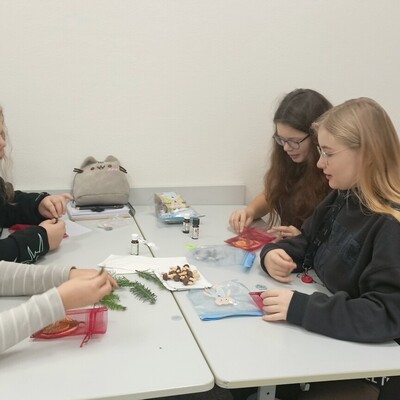 img20251205081317 IMG20251205081317.jpg