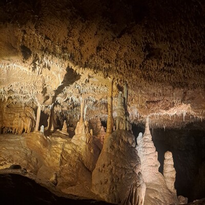 20251105 113325 20251105_113325.jpg